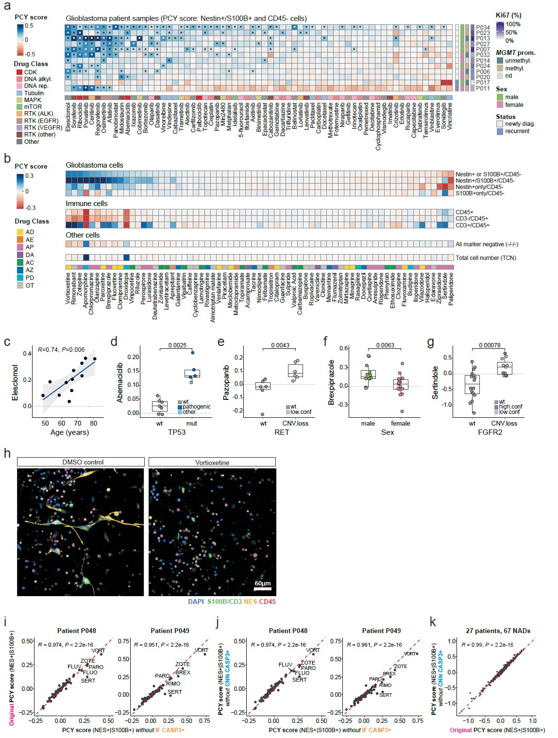 神经活性药物与肿瘤药物在胶质母细胞瘤样本中的高内涵评分结果，包括热图、相关性分析以及伏硫西汀处理的免疫荧光成像示例